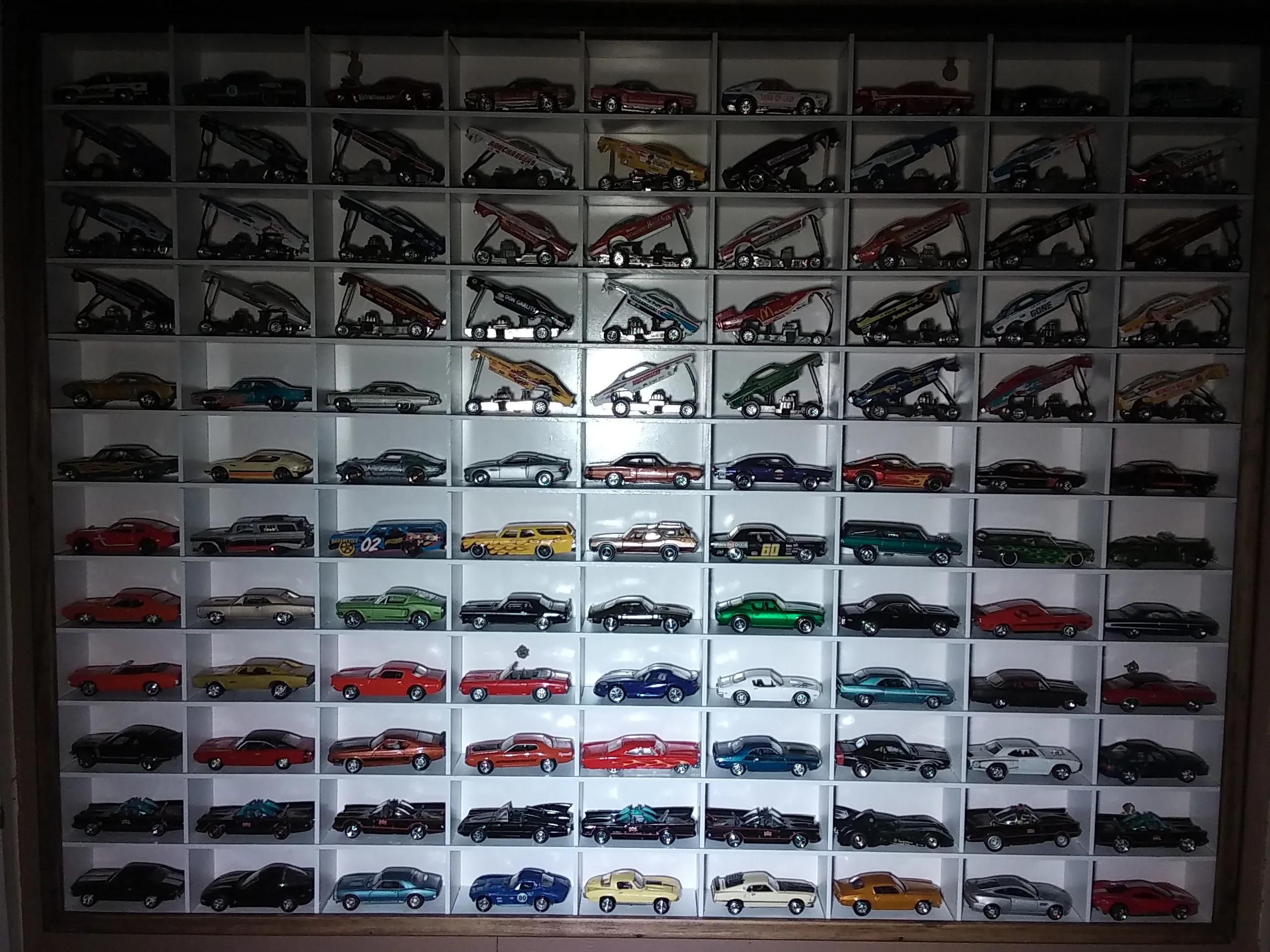 50756 shelf display case