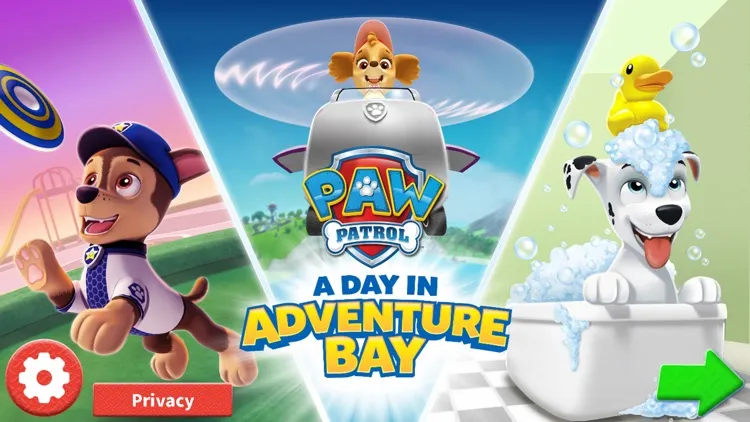 50981 paw patrol zuma hovercraft
